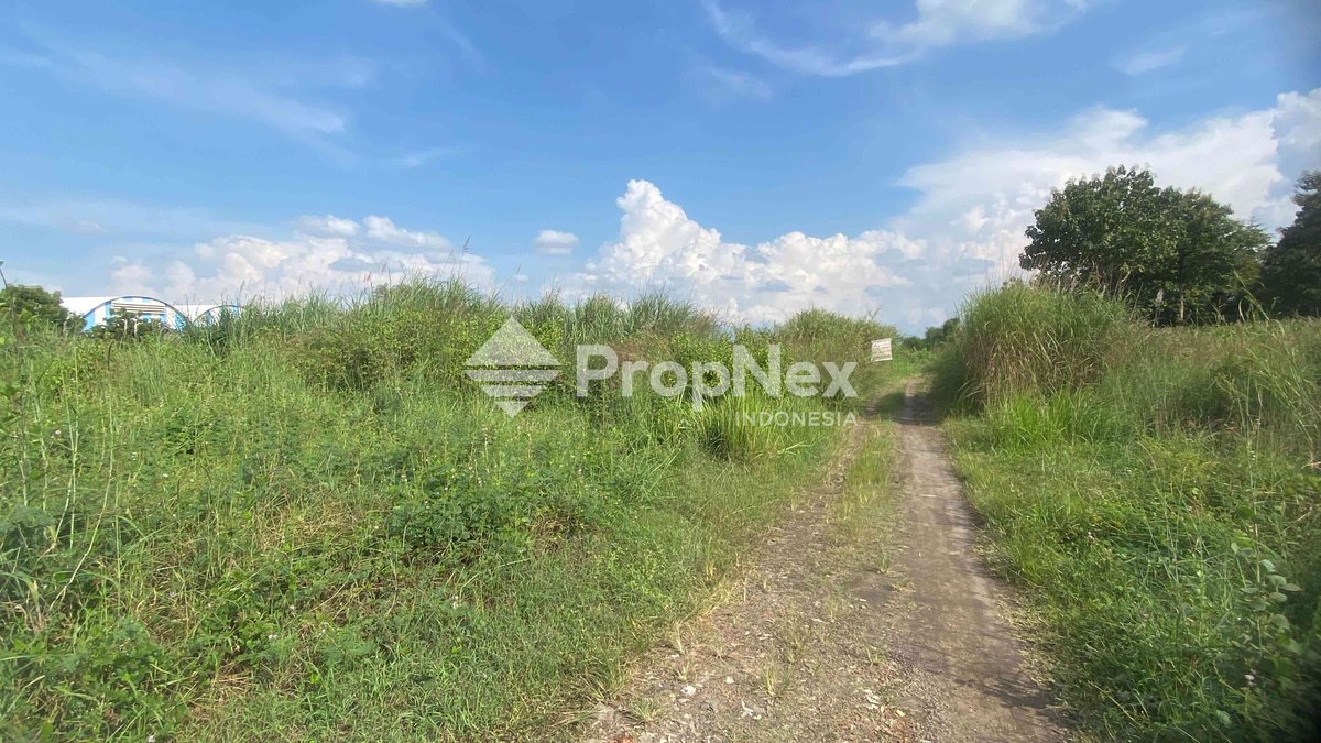 Tanah Kedamean Driyorejo — foto 5